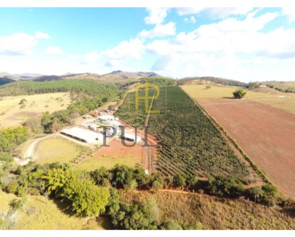 Foto de Piumhi(MG) - fazenda com 29,33,50 ha