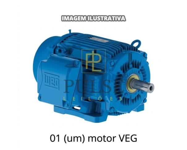 Foto de Motor VEG