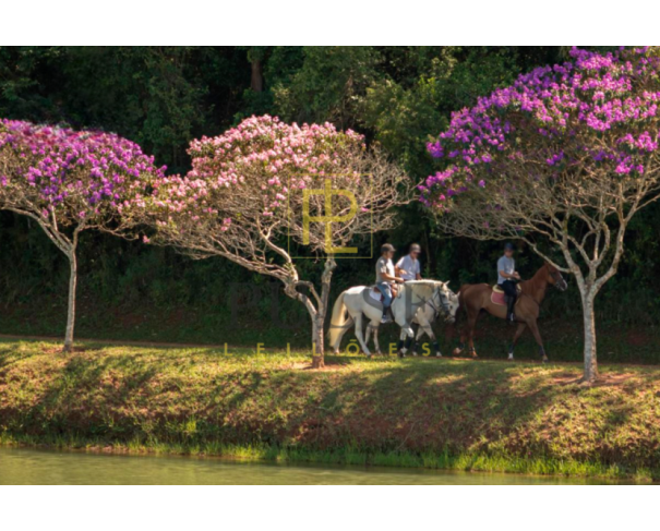 Foto de Bragança Paulista (SP) Lote de 3.246,65 m2 no Condomínio Quinta da Baronesa II