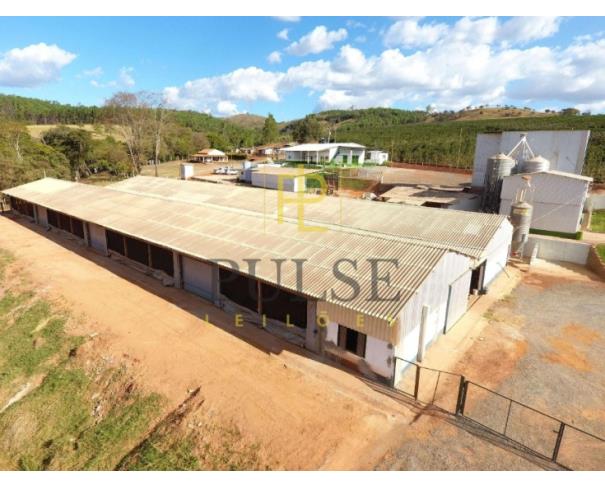 Foto de Piumhi(MG) - fazenda com 29,33,50 ha