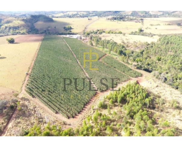 Foto de Piumhi(MG) - fazenda com 29,33,50 ha