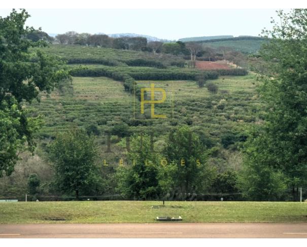 Foto de Bragança Paulista (SP) Lote de 3.246,65 m2 no Condomínio Quinta da Baronesa II
