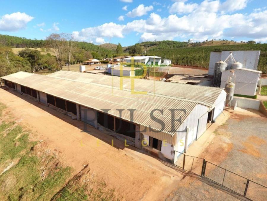 Imagem do imóvel Piumhi(MG) - fazenda com 29,33,50 ha Piumhi (MG) - Imóveis